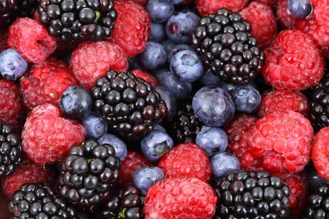 The Healthiest Berries