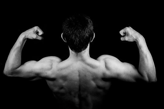 3 Reasons Why It's Beneficial to Maintain Muscle Mass